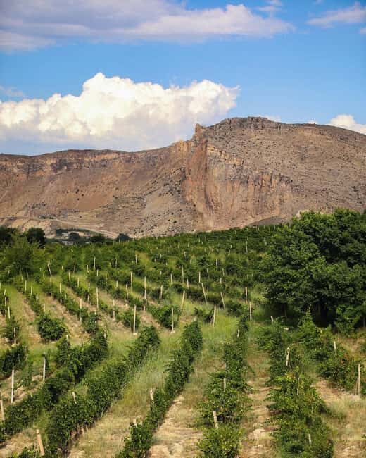 A One-Day Culinary Journey from Yerevan - Key Points