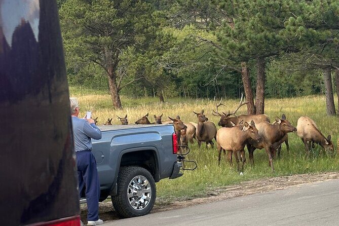 A Rutin' Good Time; Elk Tour in Rocky Mountain National Park - Final Thoughts