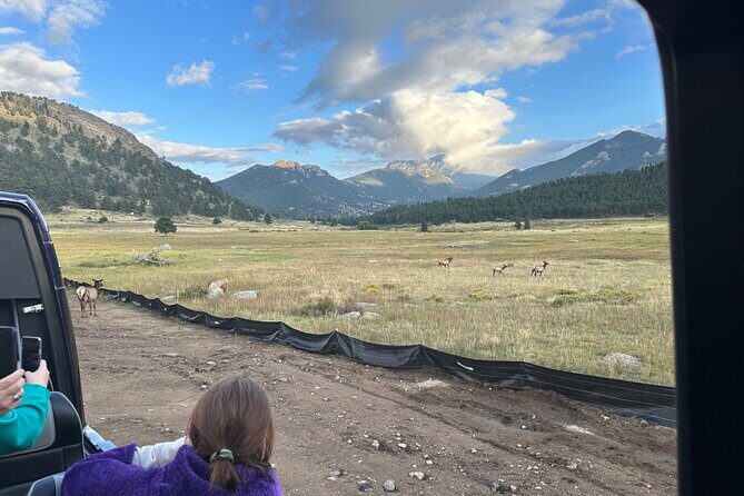 A Rutin' Good Time; Elk Tour in Rocky Mountain National Park - FAQ