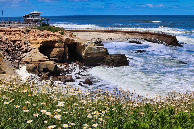 A Seaside Stroll: La Jolla's Hidden Treasures Self-Guided Tour - Final Thoughts: Is This Tour for You?