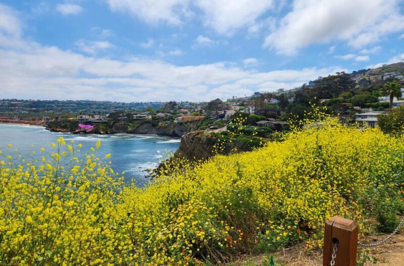 A Seaside Stroll: La Jolla's Hidden Treasures Walking Tour - FAQ