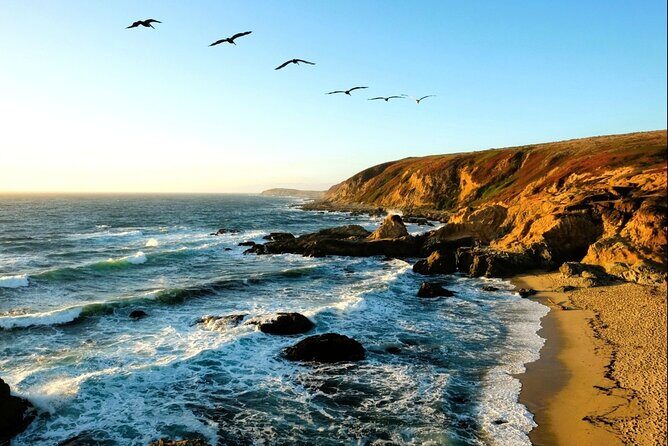 A Self-Guided Audio Tour Around Bodega Head - Key Points