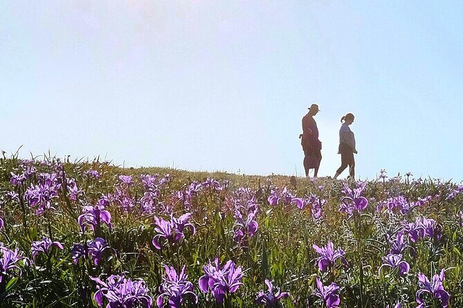 A Self-Guided Audio Tour Around Bodega Head - Final Thoughts