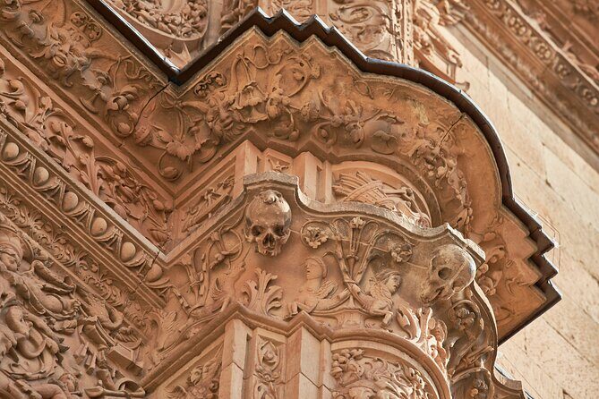 A Self-Guided Walking Tour of Salamanca - Who Would Enjoy This Tour?