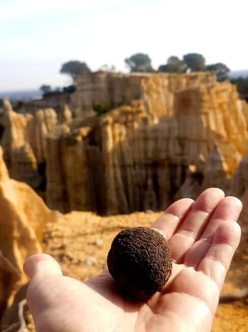 A sensory walk at Les Orgues, between nature and landscape - Key Points