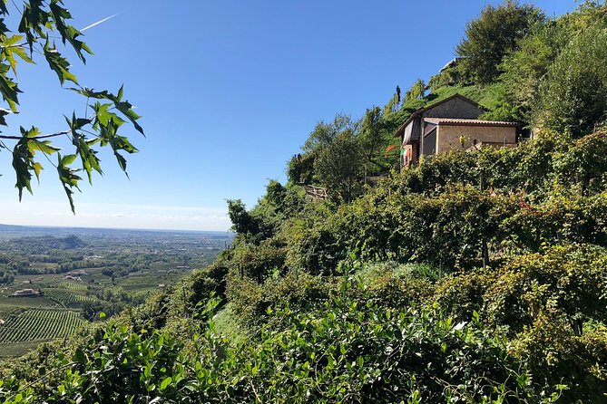 A Sparkling Day in the Prosecco Hills from Venice - Prosecco Hills Viewpoint Stop: Photos, Castle Energy, and a Local Osteria Option