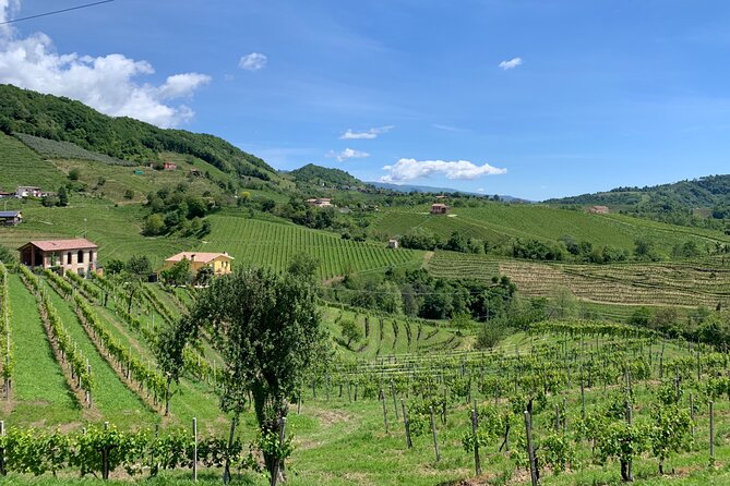 A Sparkling Day in the Prosecco Hills from Venice - Pieve di Soligo: The Family Osteria Lunch and the Slow-Cooked Spiedo