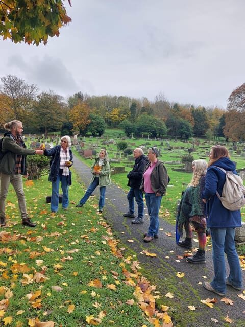 A Tour of Glastonbury - Guided by the Trees - FAQ