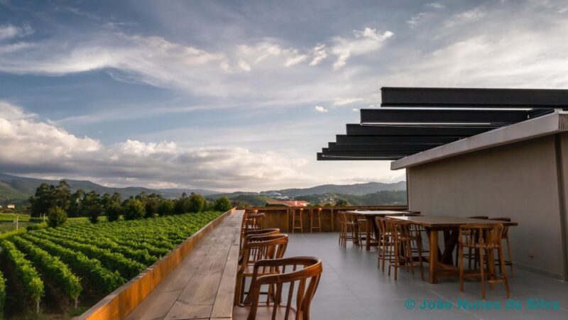 A trip through the Vinhos Verdes of the Basto Region - What to Expect from the Vinhos Verdes Tour