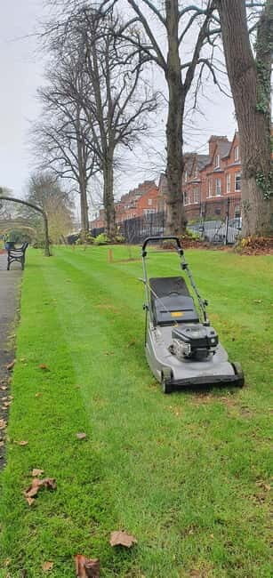 A Unique Belfast City Center Walking Tour - How the Tour Feels in Real Life