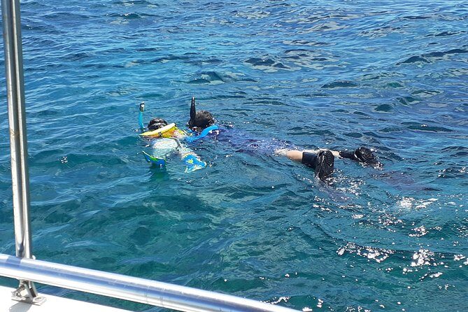A Unique Private Snorkel Tour of Key Largo - Get ready to enjoy some of the most vibrant underwater scenery Key Largo has to offer. With a knowledgeable captain and a private setting, this experience might just be your highlight of the trip.