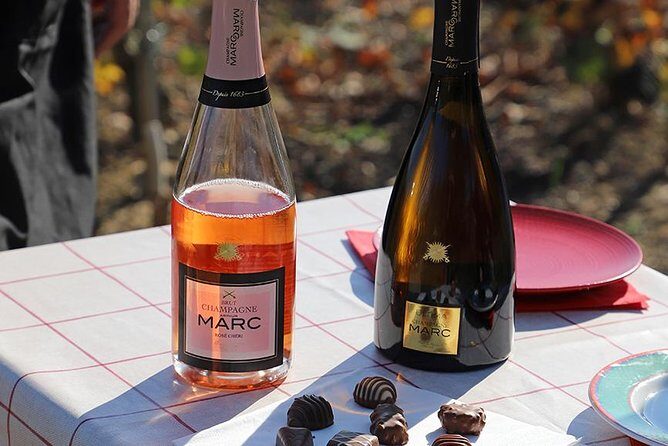 A unique sensory experience in the vineyards - Key Points