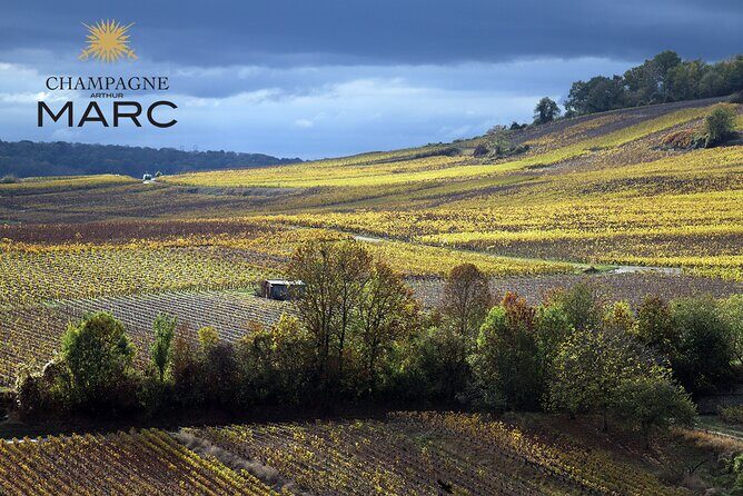 A unique sensory experience in the vineyards - FAQ