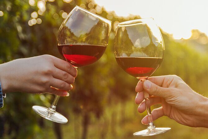 A Wine Tasting Experience in the Vineyards of the Desert - Key Points