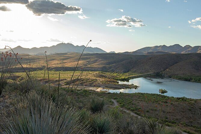 A Wine Tasting Experience in the Vineyards of the Desert - Who Should Consider This Tour?