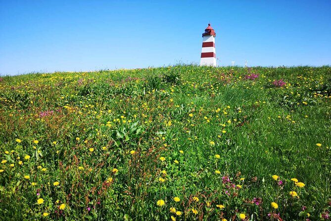 Aalesund Highlights +Alnes the most beautiful island 4H Excursion - FAQ