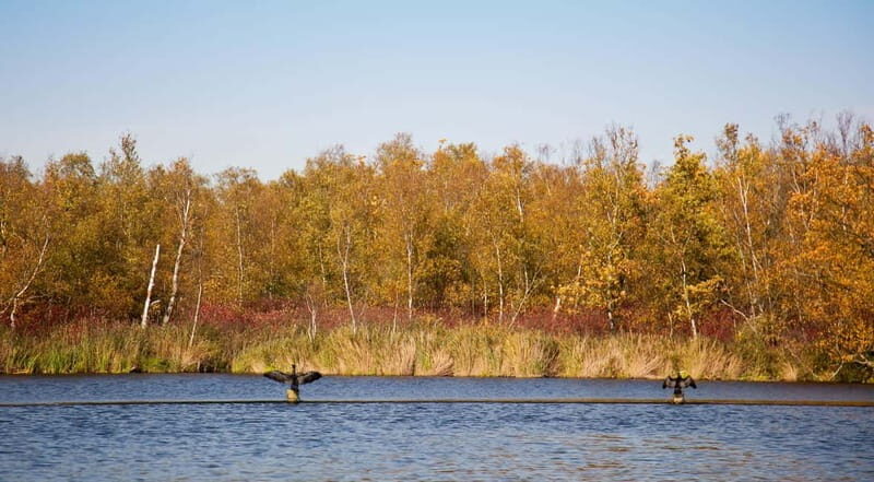Aalsmeer: Traditional Dutch Barge Lake Cruise - Key Points