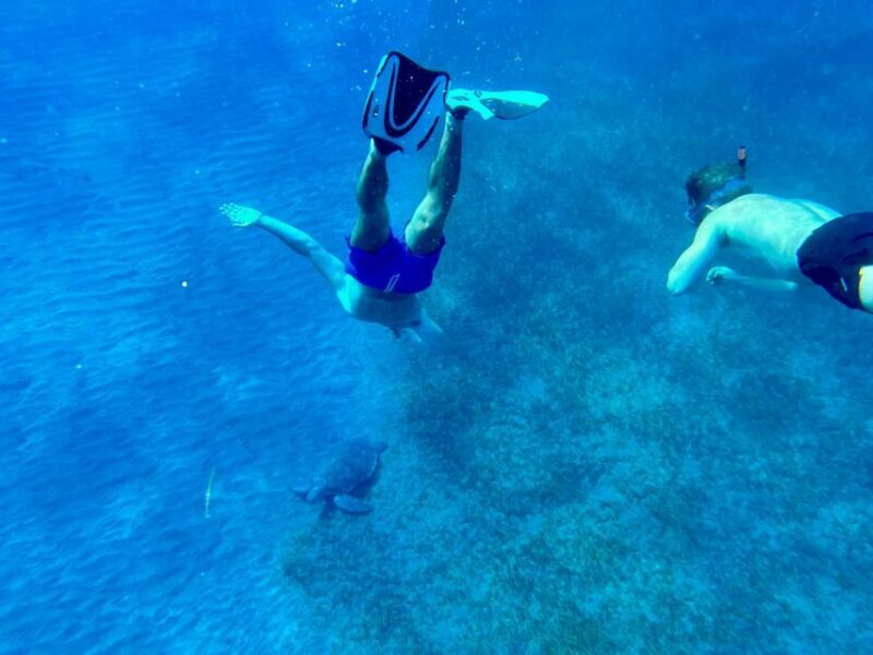 Abades: Guided Snorkeling Tour with Photos - Final Thoughts: Why This Tour Stands Out