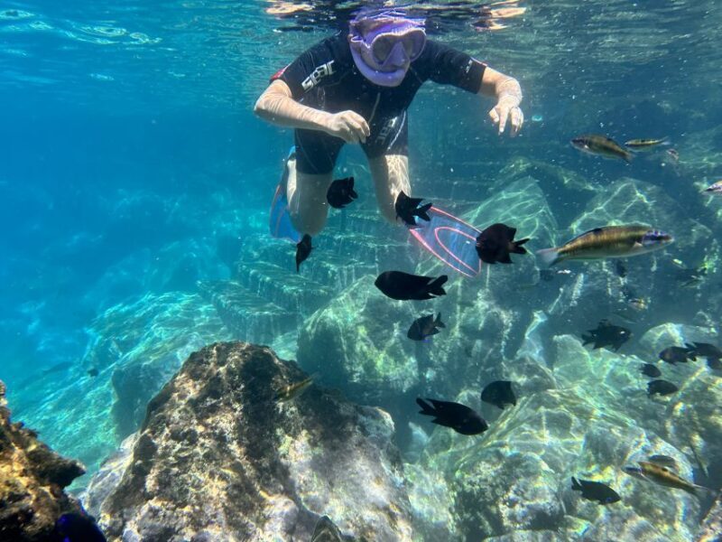 Abades: Guided Snorkeling Tour with Photos - FAQs