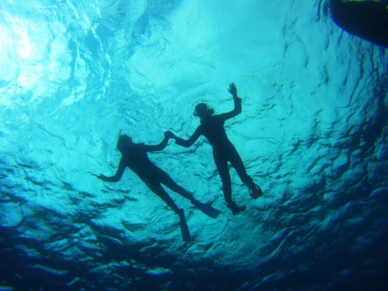 Abades: Paddle Surf and Snorkel with Turtles in a Volcanic Reef - What Could Be Better?