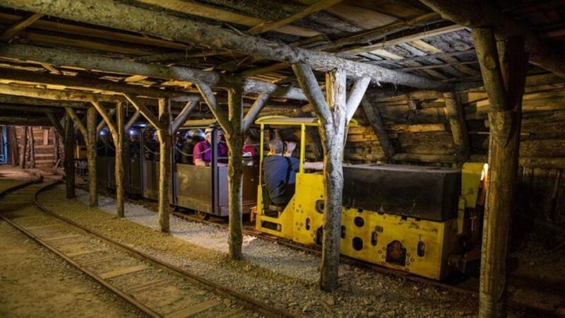 Abbadia San Salvatore Mining Museum Park: Admission and guided tour - Who Will Appreciate This Tour?