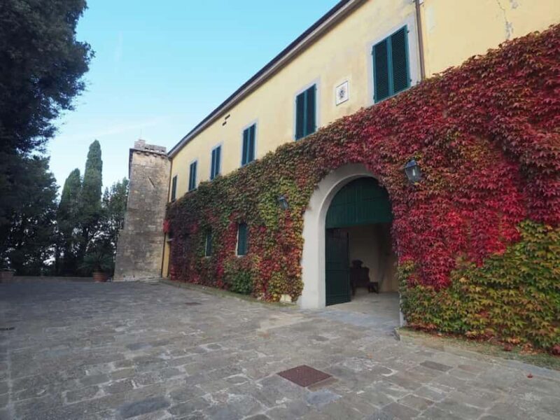 Abbey Tour, Wine Tasting & Tuscan Lunch Near Pisa - What to Expect from the Tour