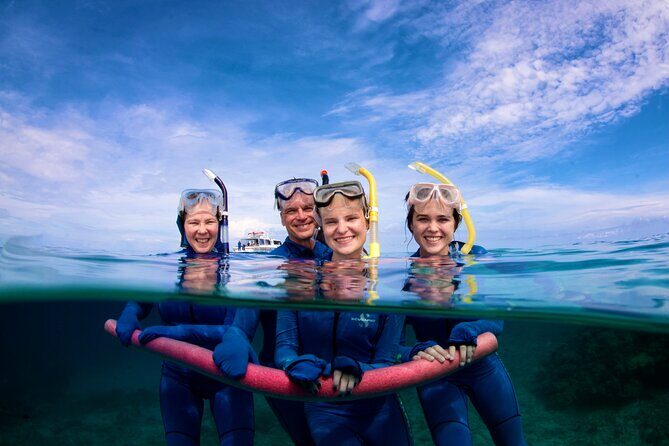 ABC Reef Safaris - The Snorkeling Experience: What You Might See