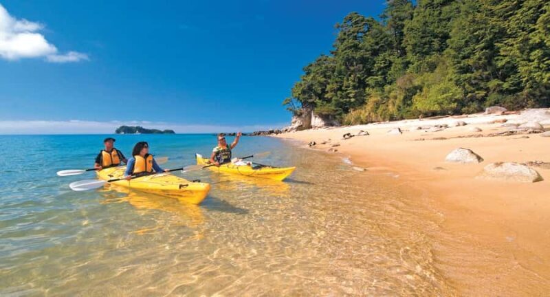 Abel Tasman Kayaks: 1 Day Freedom Kayak Rental - Key Points
