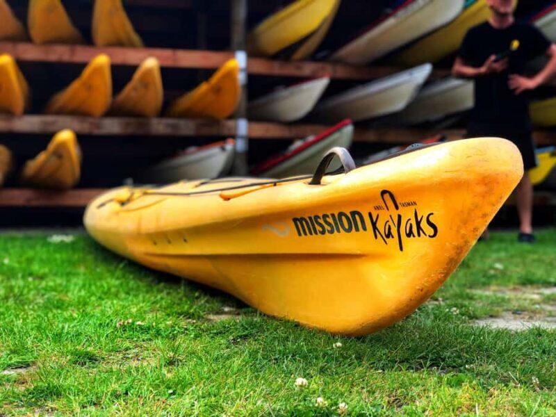 Abel Tasman Kayaks: 1 Day Freedom Kayak Rental - The Ups and Downs