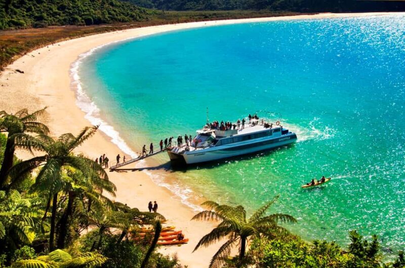 Abel Tasman National Full Park Scenic Cruise - Who Would Love This Cruise?