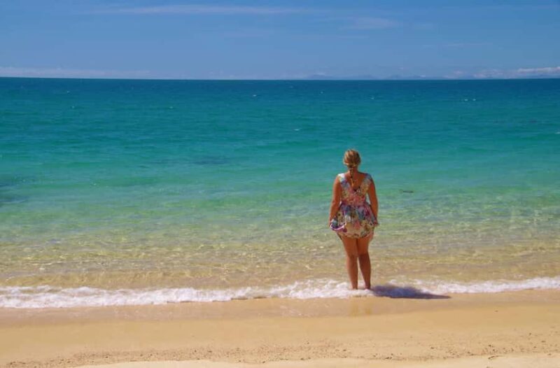 Abel Tasman: Sea Shuttle Cruise and Walking Tour Combo - Who Will Love This Tour?