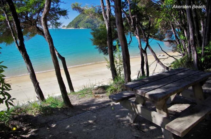 Abel Tasman: Sea Shuttle Cruise and Walking Tour Combo - FAQs