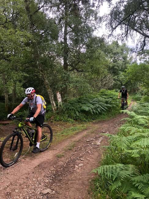 Aberdeenshire: Guided Mountain Biking Adventure - Key Points