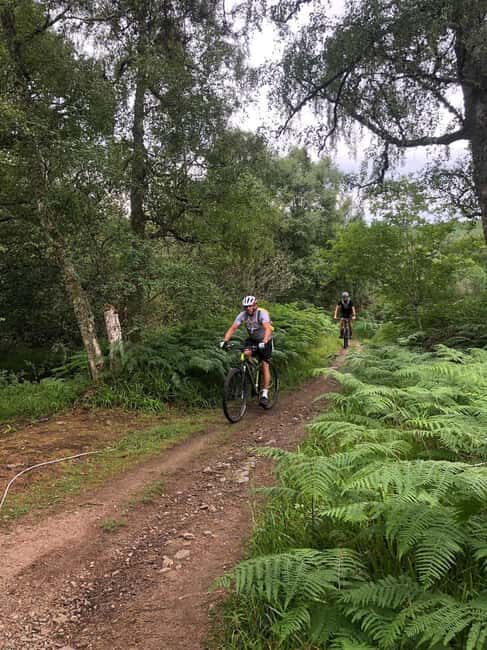 Aberdeenshire: Guided Mountain Biking Adventure - What to Expect from Your Mountain Biking Adventure