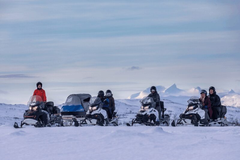 Abisko: Great Outback Snowmobile Tour with Lake Abiskojaure - What People Say: Authentic Traveler Feedback