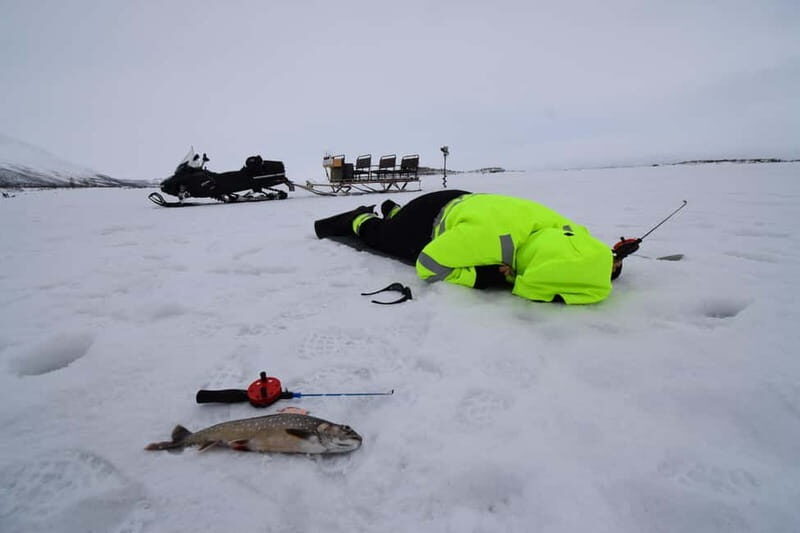 Abisko: Ice Fishing Experience - Who Should Consider This Tour?