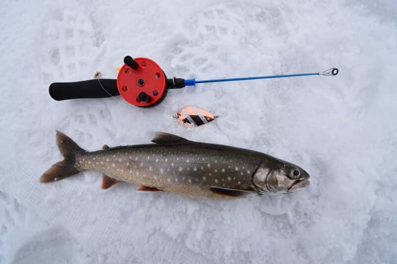 Abisko: Ice Fishing Experience - Final Thoughts