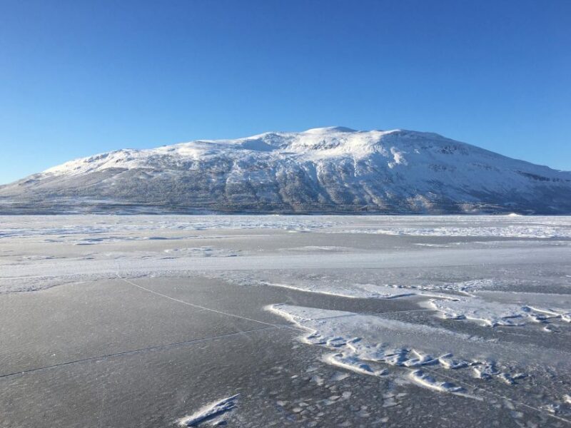 Abisko: Lake Torneträsk Arctic Ice Fishing Trip - Abisko: Lake Torneträsk Arctic Ice Fishing Trip — Honest Review