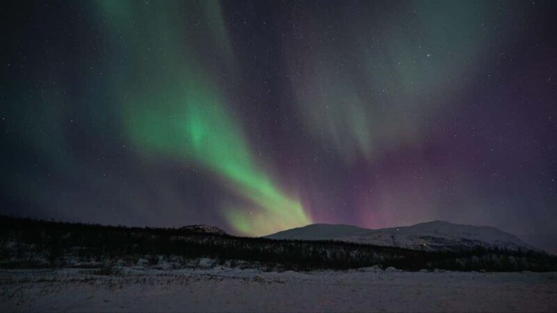 Abisko: Northern Lights Hike with Husky Puppies - The Experience in Detail