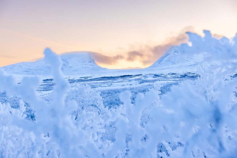 Abisko: Private Guided Hike in Abisko National Park - Key Points