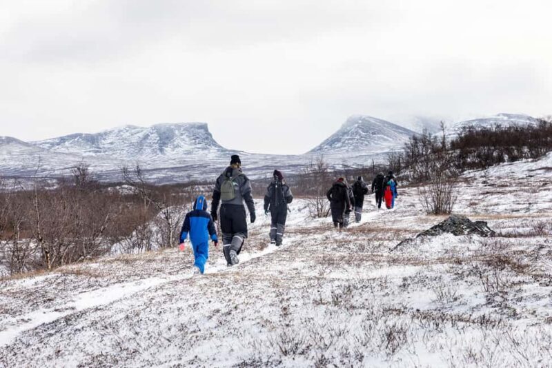 Abisko: Private Guided Hike in Abisko National Park - A Deep Dive into the Tour
