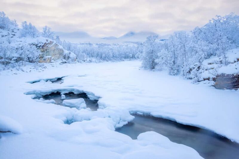 Abisko: Private Guided Hike in Abisko National Park - Final Thoughts