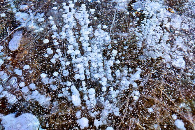 Abraham Lake (Ice bubble lake) Peyto Bow Lake Crowfoot Glacier - Practical Details & Considerations