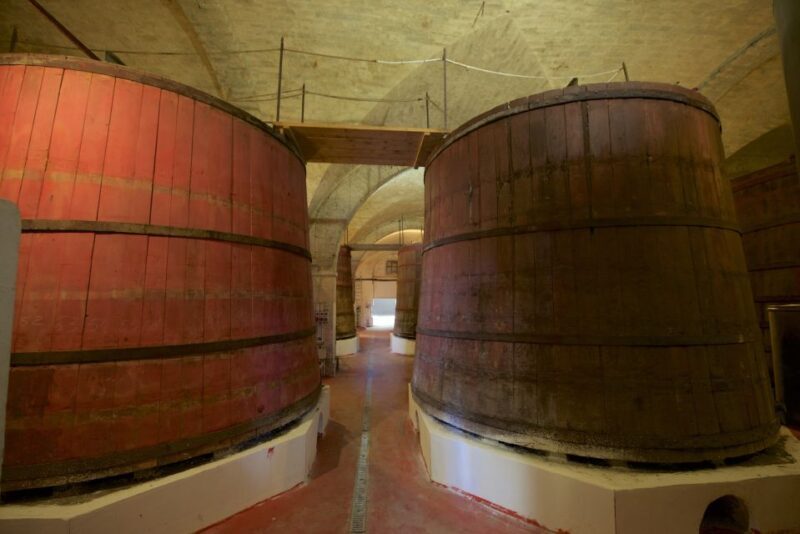 Abruzzo: Historic Cellar Wine Tour and Tasting - Introducing the Abruzzo: Historic Cellar Wine Tour and Tasting