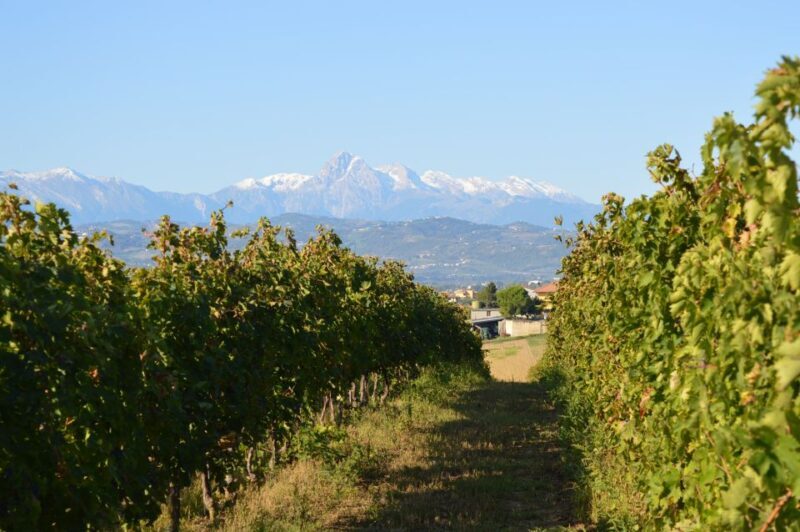 Abruzzo: Historic Cellar Wine Tour and Tasting - Key Points