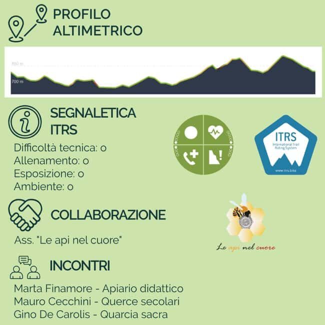 Abruzzo L'Aquila: e-bike tour in the shade of centuries-old oak trees - Key Points