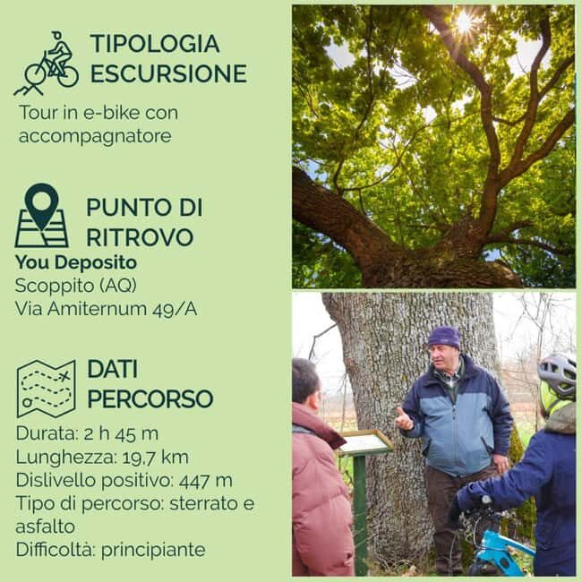 Abruzzo L'Aquila: e-bike tour in the shade of centuries-old oak trees - An Honest Look at the E-Bike Tour in Abruzzo