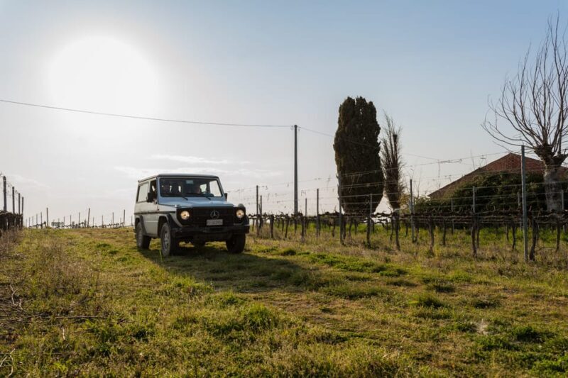 Abruzzo: Vineyard Jeep Tour with Tastings - Inside the Historic Cellar