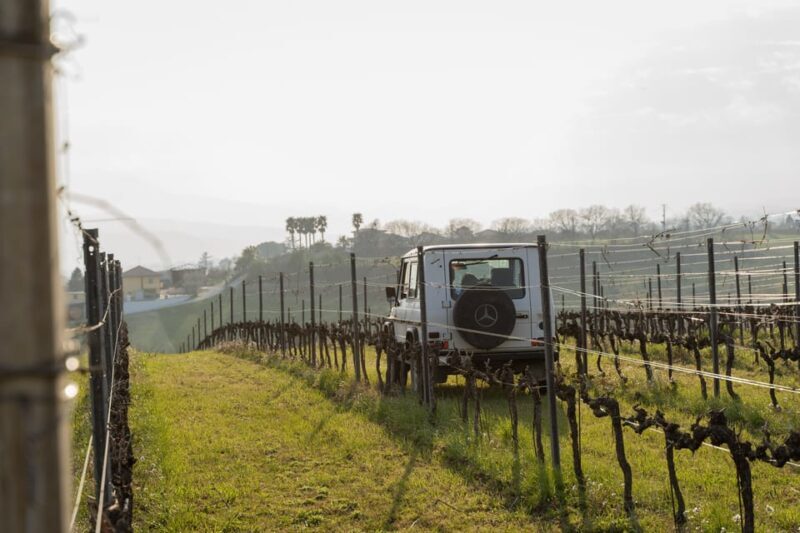 Abruzzo: Vineyard Jeep Tour with Tastings - Final Thoughts: Is This Tour Right for You?