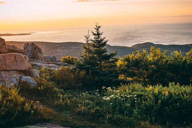 Acadia Cadillac Mountain Sunrise Half Day Private Tour & Hike - What to Expect from the Cadillac Mountain Sunrise Tour